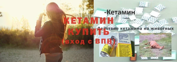 герыч Новодвинск