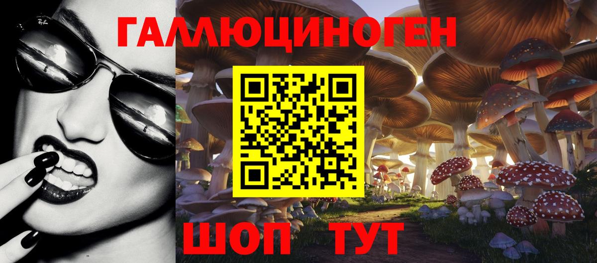 Галлюциногенные грибы Psilocybe Шумерля