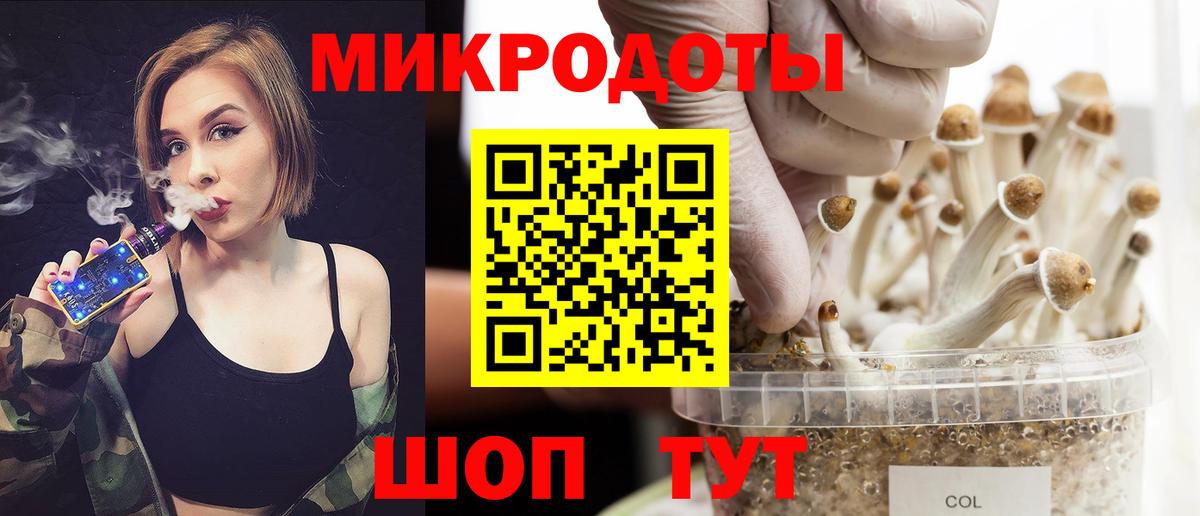 Шумерля  Псилоцибиновые грибы Psilocybine cubensis  купить  сайты  Вход с VPN 