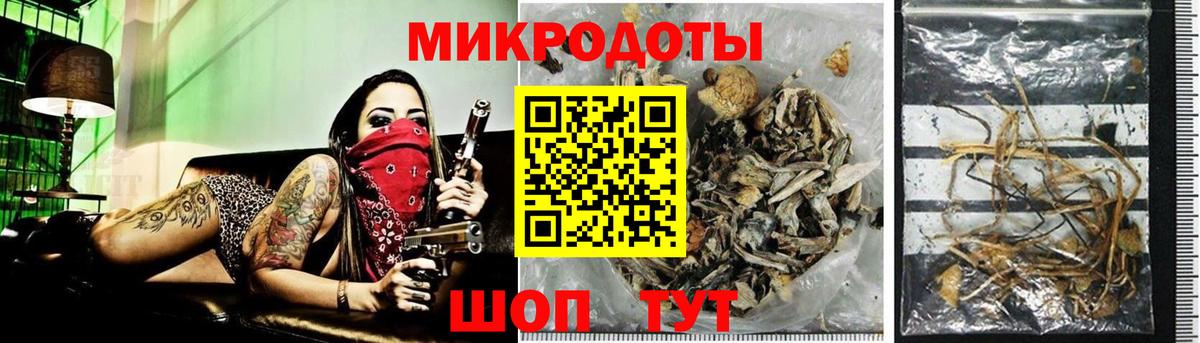 Галлюциногенные грибы GOLDEN TEACHER Шумерля