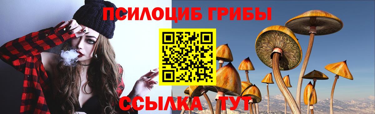 Галлюциногенные грибы Magic Shrooms  Шумерля  наркошоп  Псилоцибиновые грибы прущие грибы 